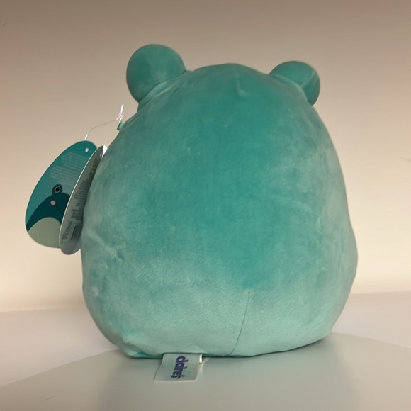 Ludwig frog muggy green plush toy squishmallow with tags fairly new - Picture 3 of 5